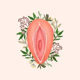 Img-ginecologa-bogota-ServicioHome-Perineoplastia