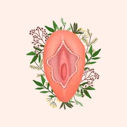 Img-ginecologa-bogota-ServicioHome-Vaginoplastia